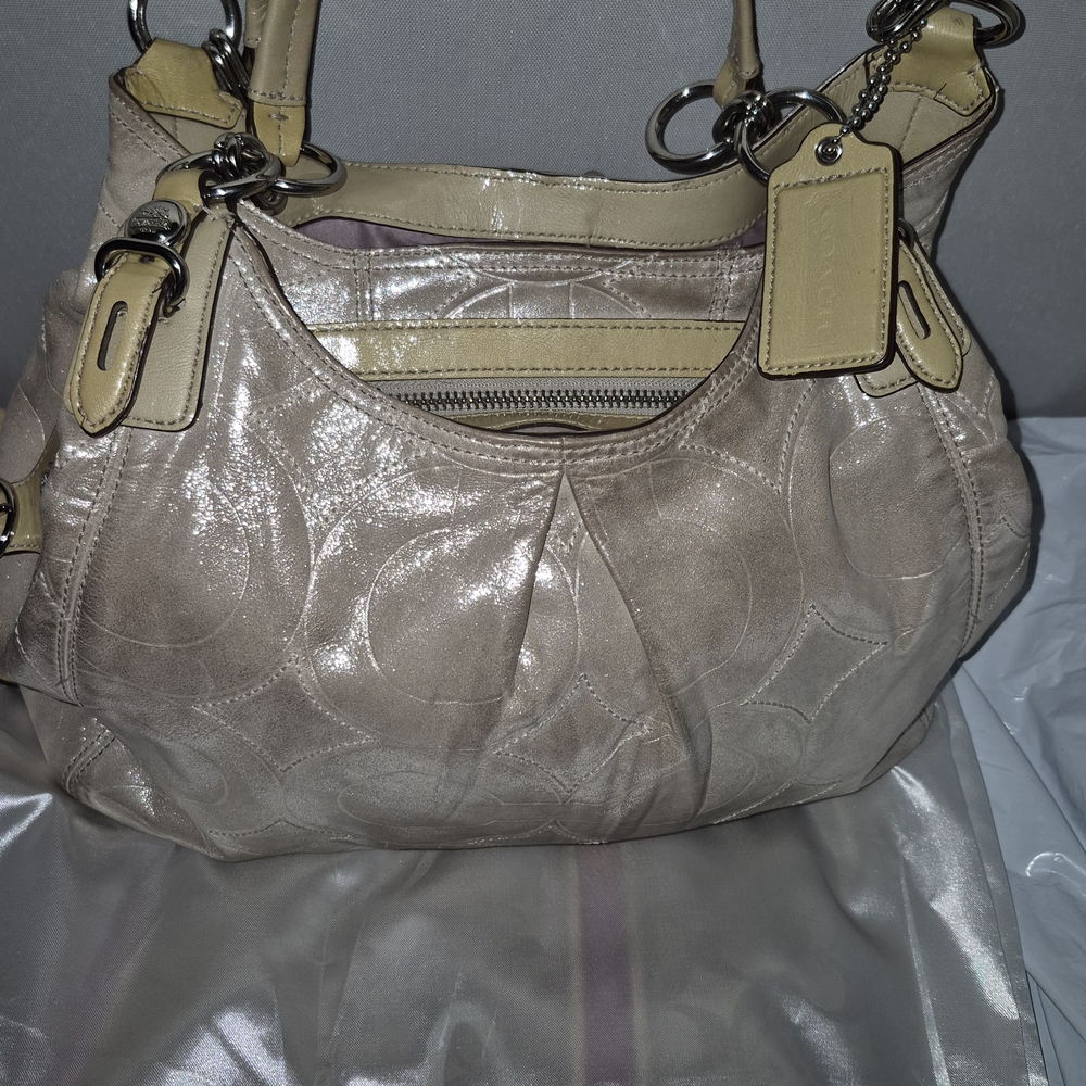 Coach Maggie Shimmer Hobo Bag - Picture 7 of 13